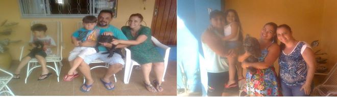 Adoção de cães e gatos