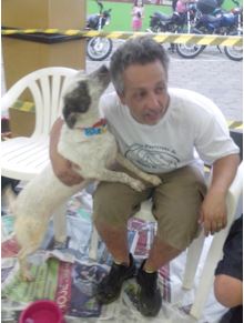 participação feira adoção